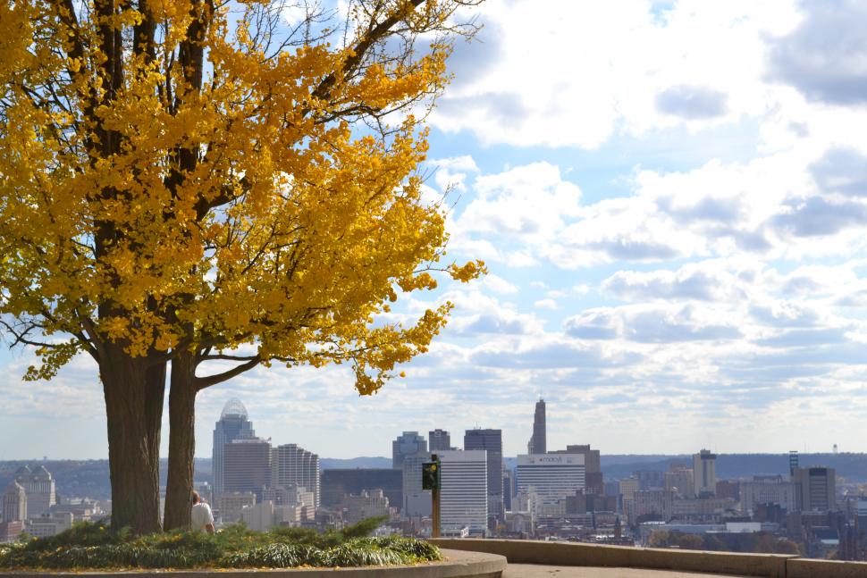 Bellevue Park Fall 2011_Cincinnati Park Board